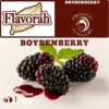 Boysenberry (Flavorah)